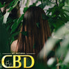 Can CBD Oil Benefit Your Hair And What the Best CBD-Infused Products to Use?