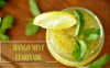 My Natural CBD Mango Mint Lemonade Recipe